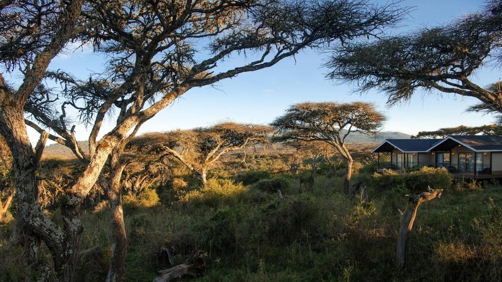 Karibu Camps And Lodges Lions Paw Ngorongoro Karatu Zewnętrze zdjęcie
